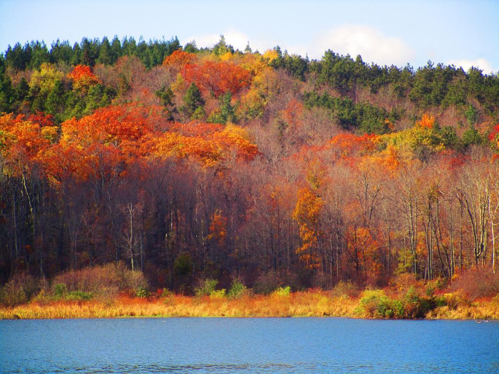 Photo: Remaining Color