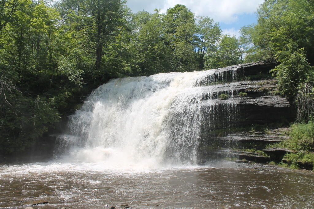 Photo: Pixley Falls from the Gorge Photo: Pixley Falls from the Gorge