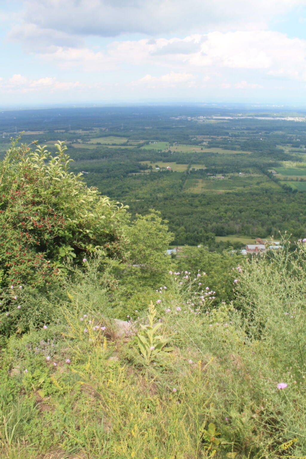 Photo: Northeast