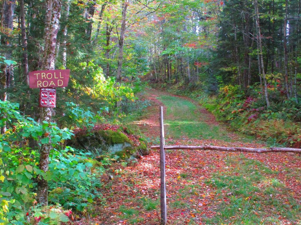 Photo: Troll Road