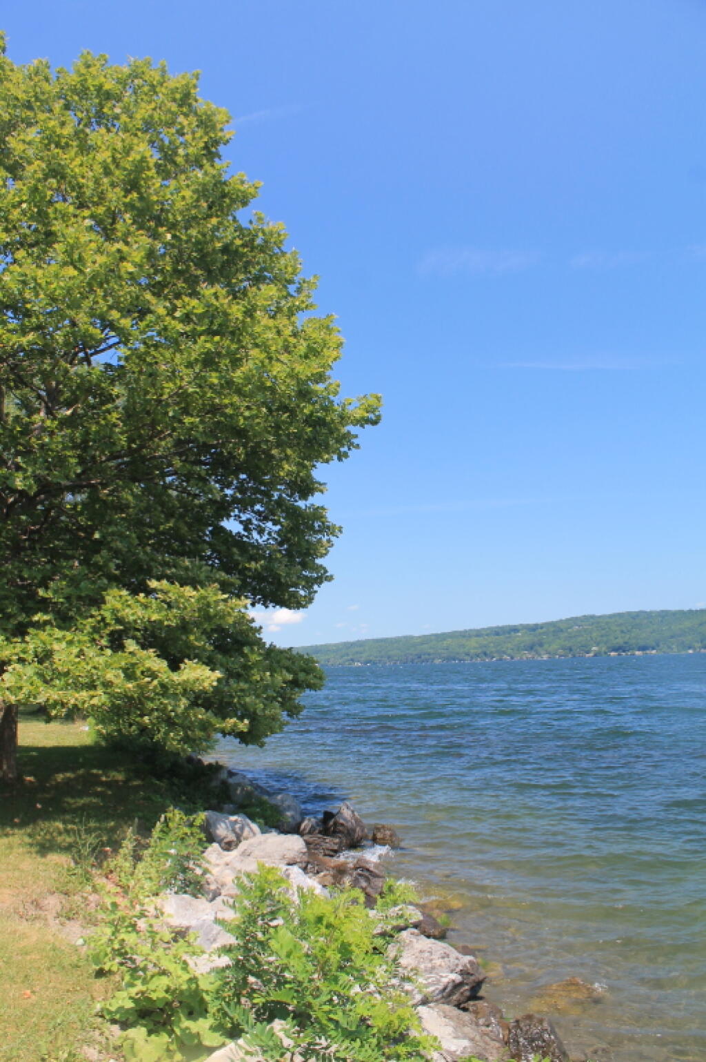 Photo: Shoreline