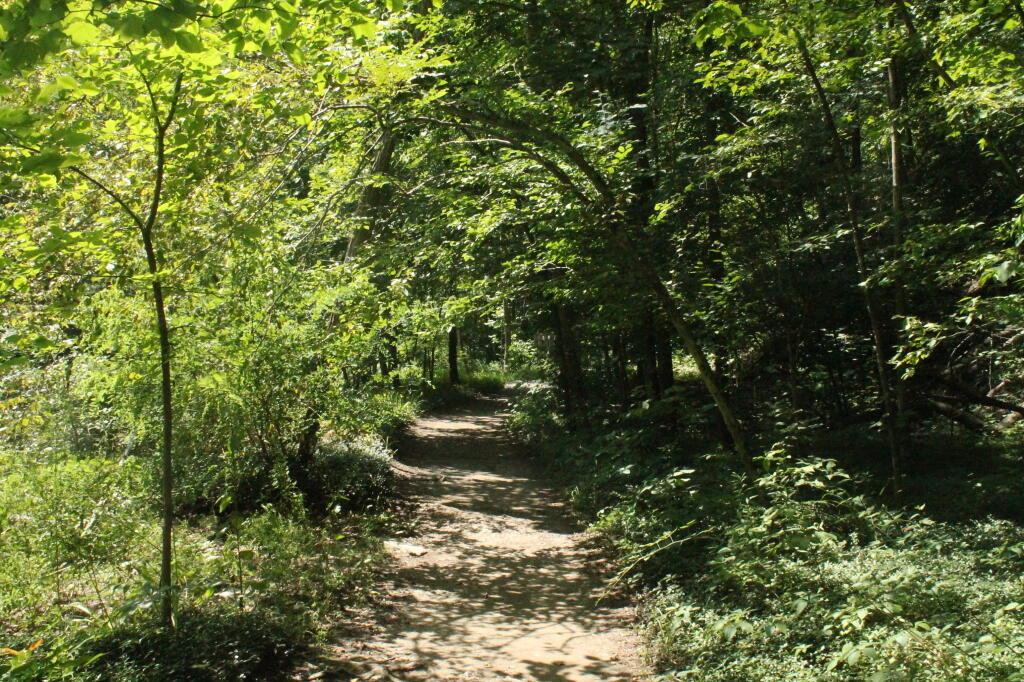 Photo: Quiet Hike