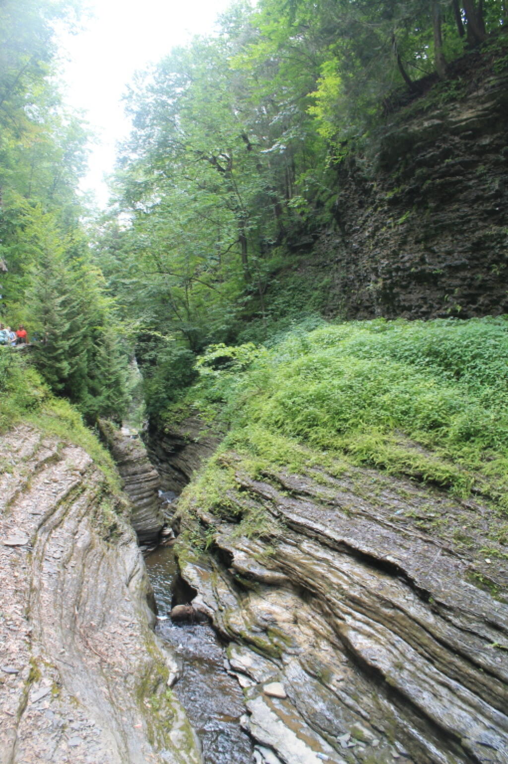 Photo: Narrow Cut