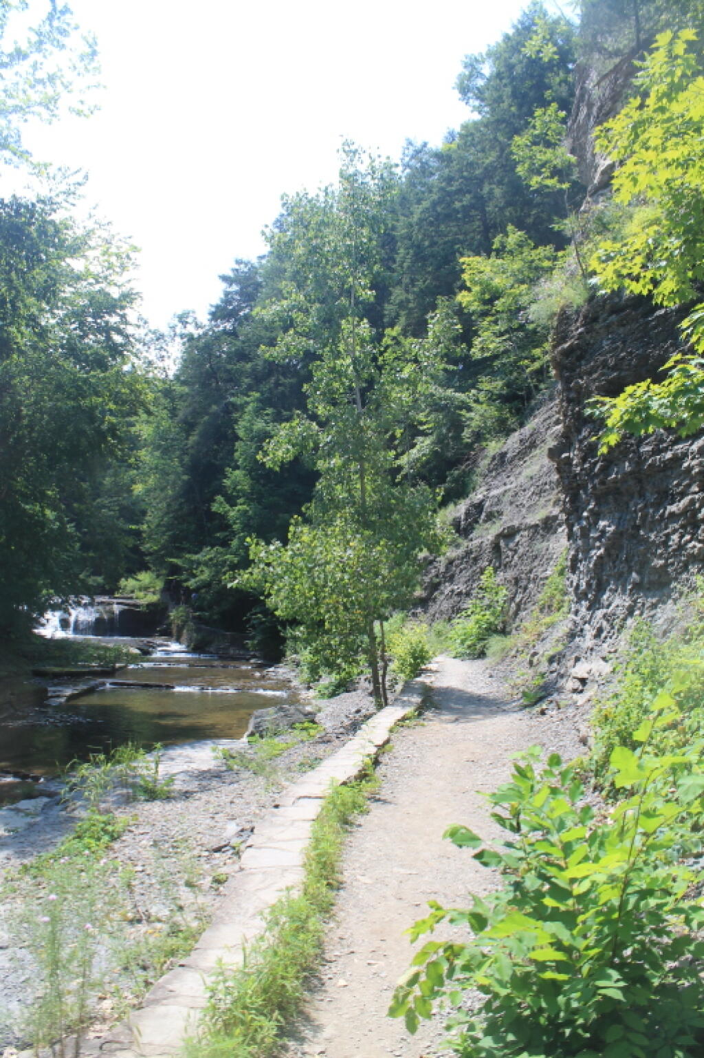 Photo: Along Enfield Creek