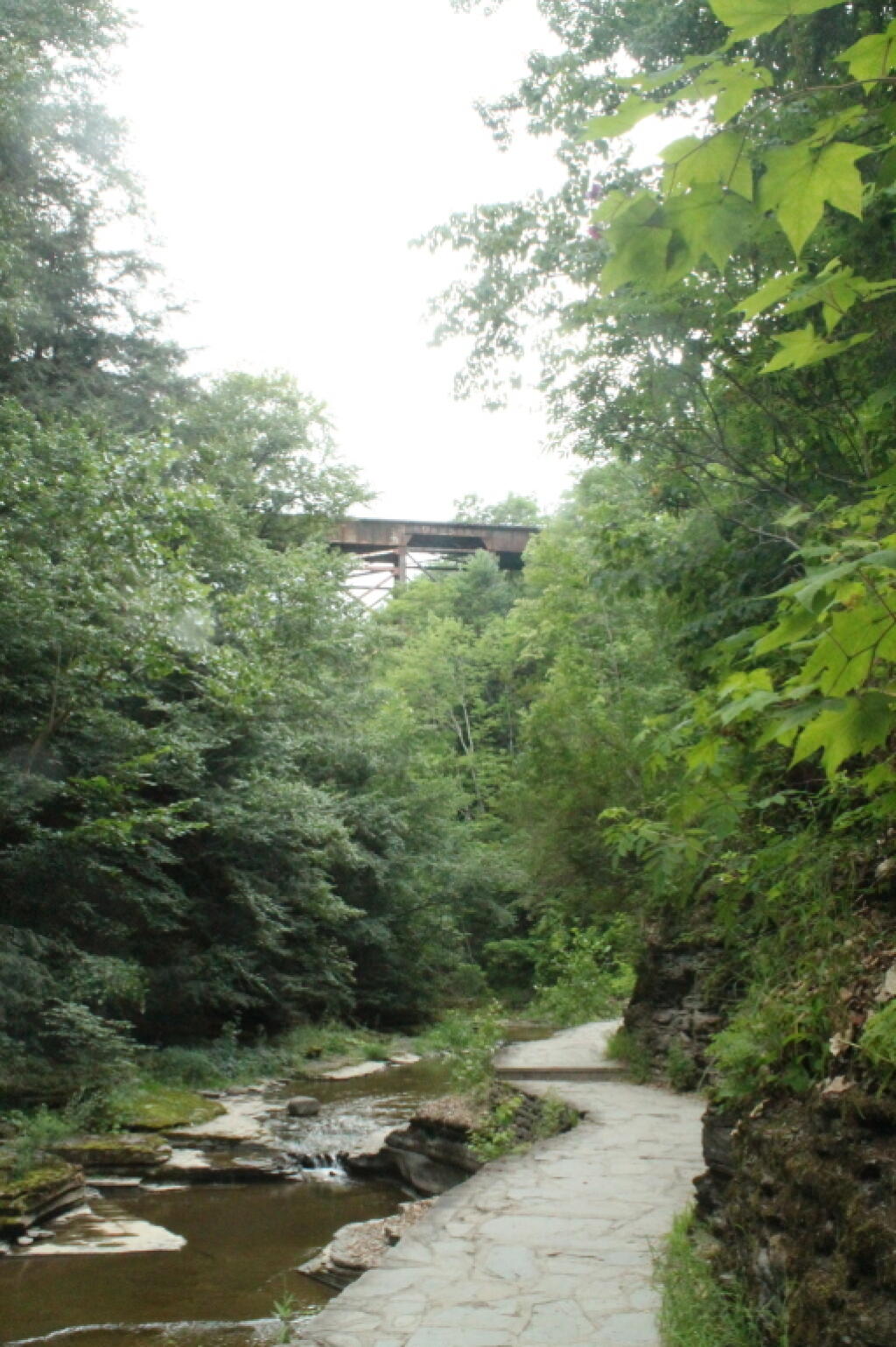 Photo: Railroad Bridge Over the Gorge Photo: Railroad Bridge Over the Gorge