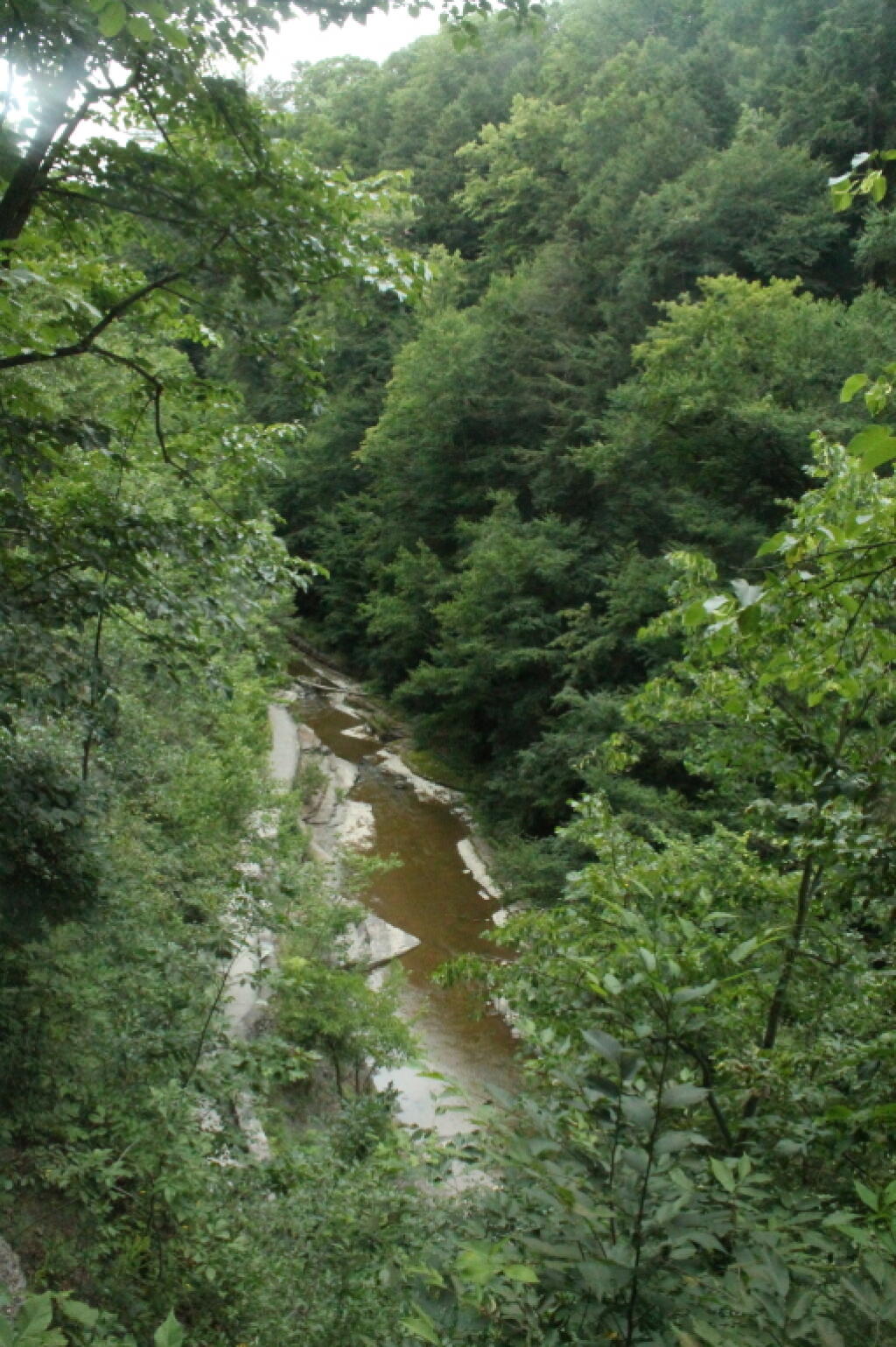 Photo: Down Into the Gorge