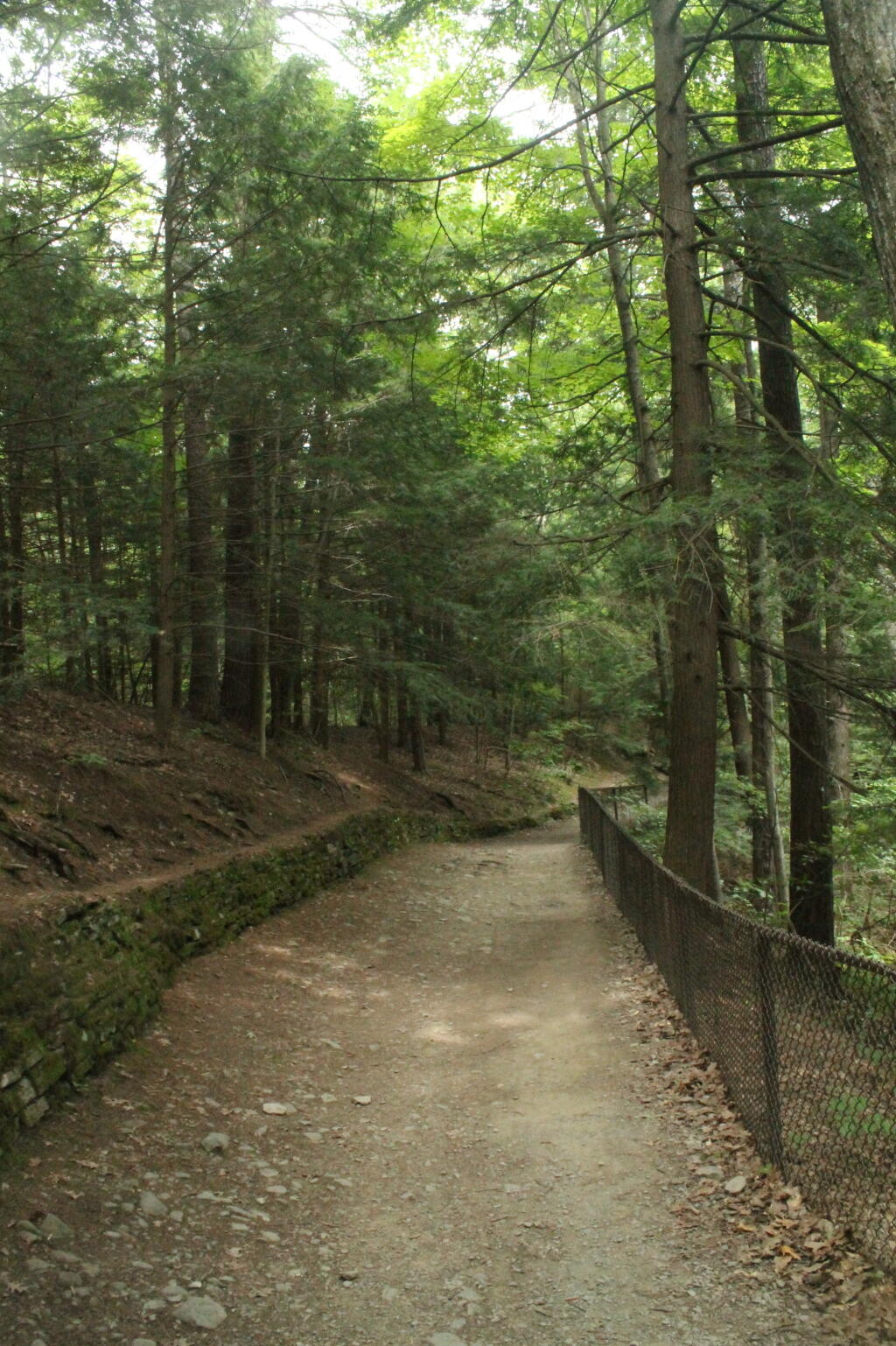 Photo: Indian Trail Photo: Indian Trail