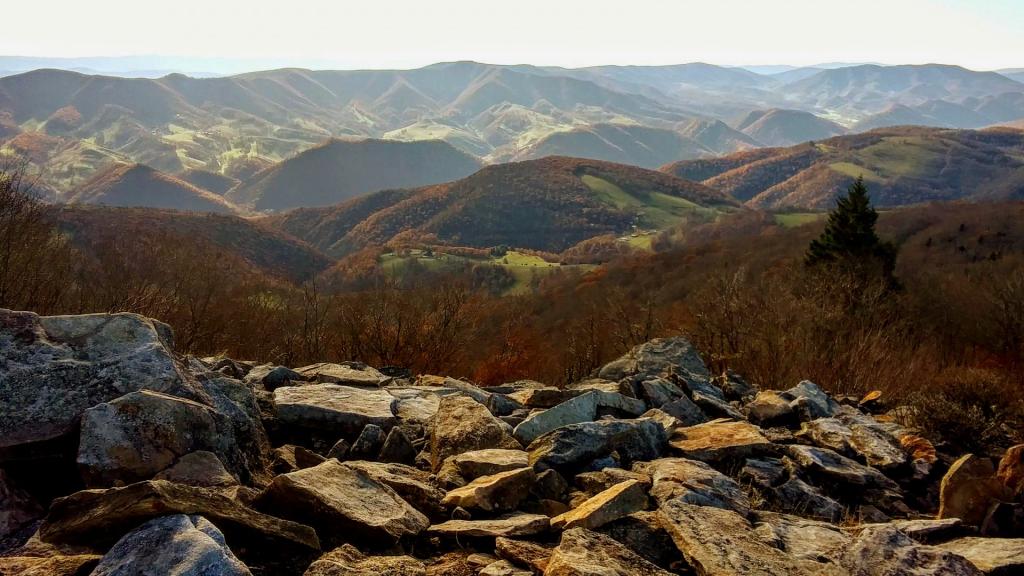 Photo: Hilltops Farms of West Virginia