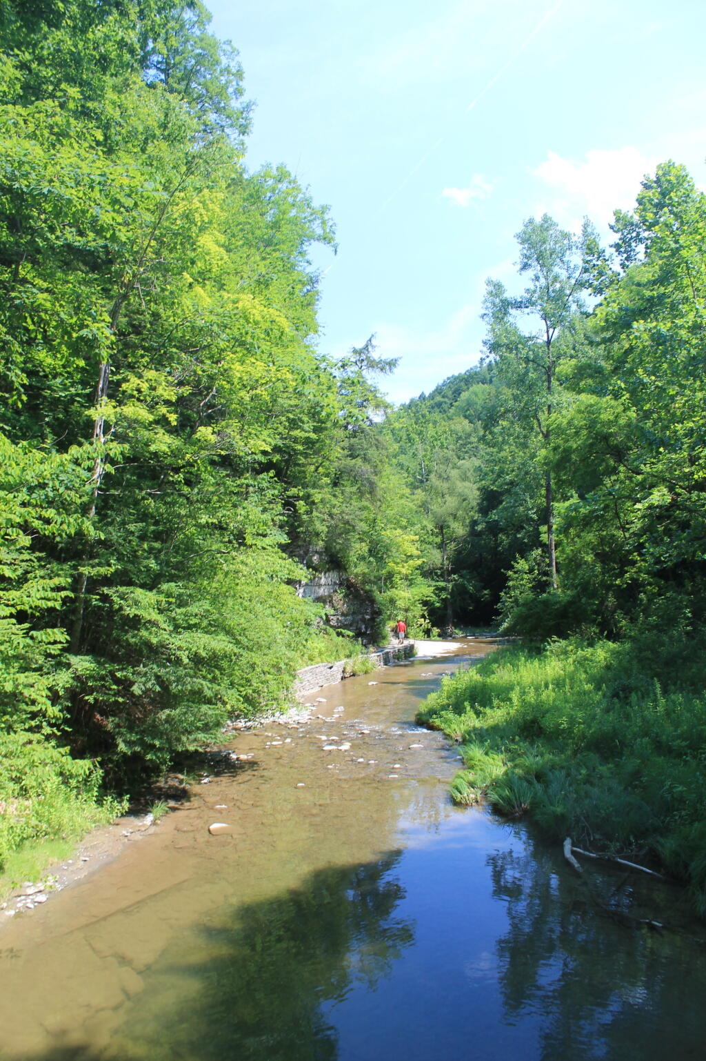 Photo: East in the Gorge