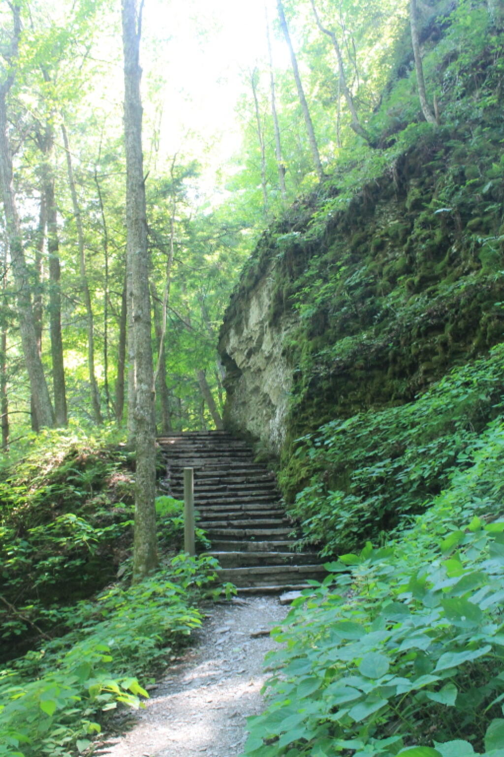Photo: Bottom of the Stairs