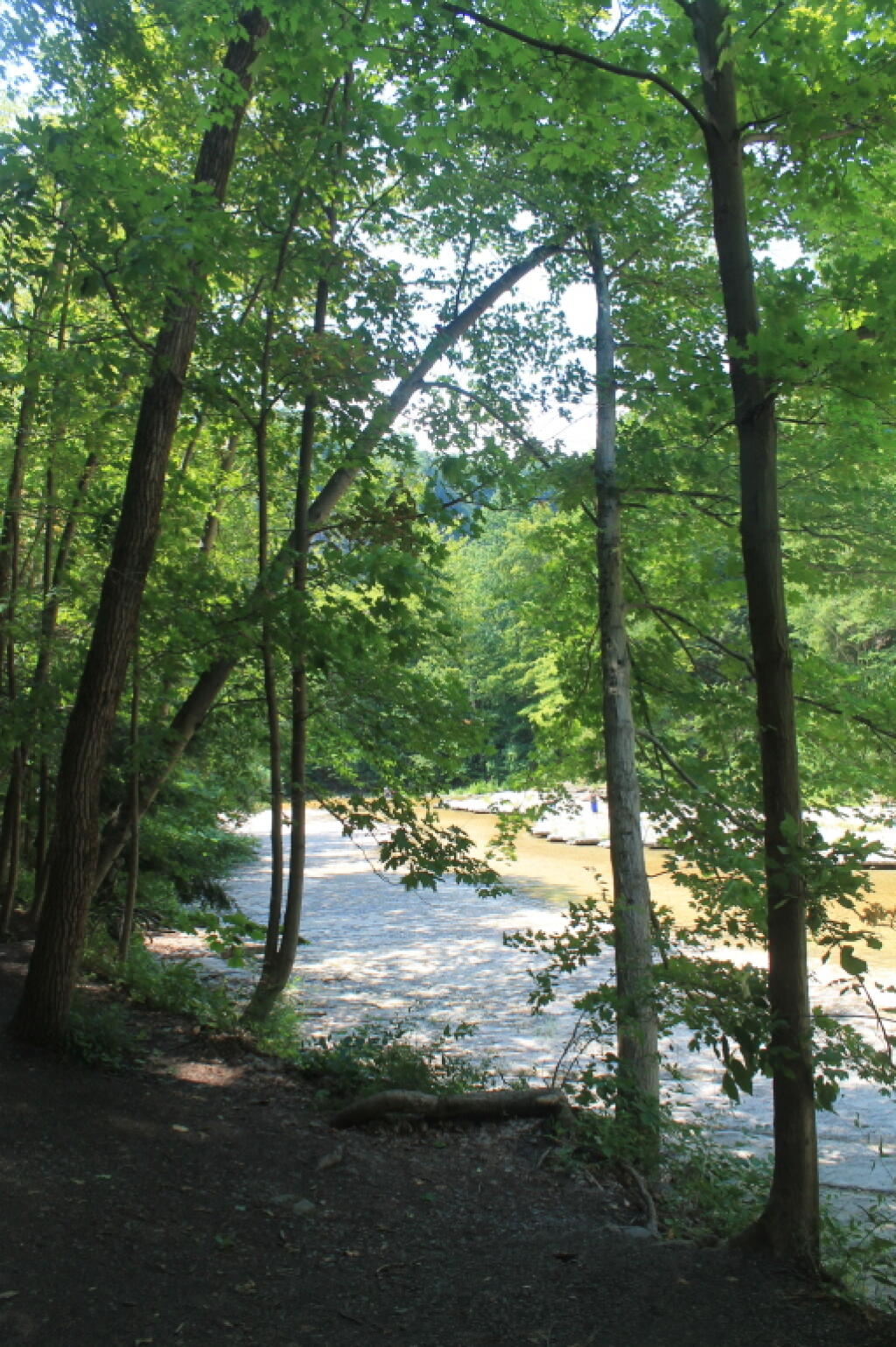 Photo: Taughannock Creek
