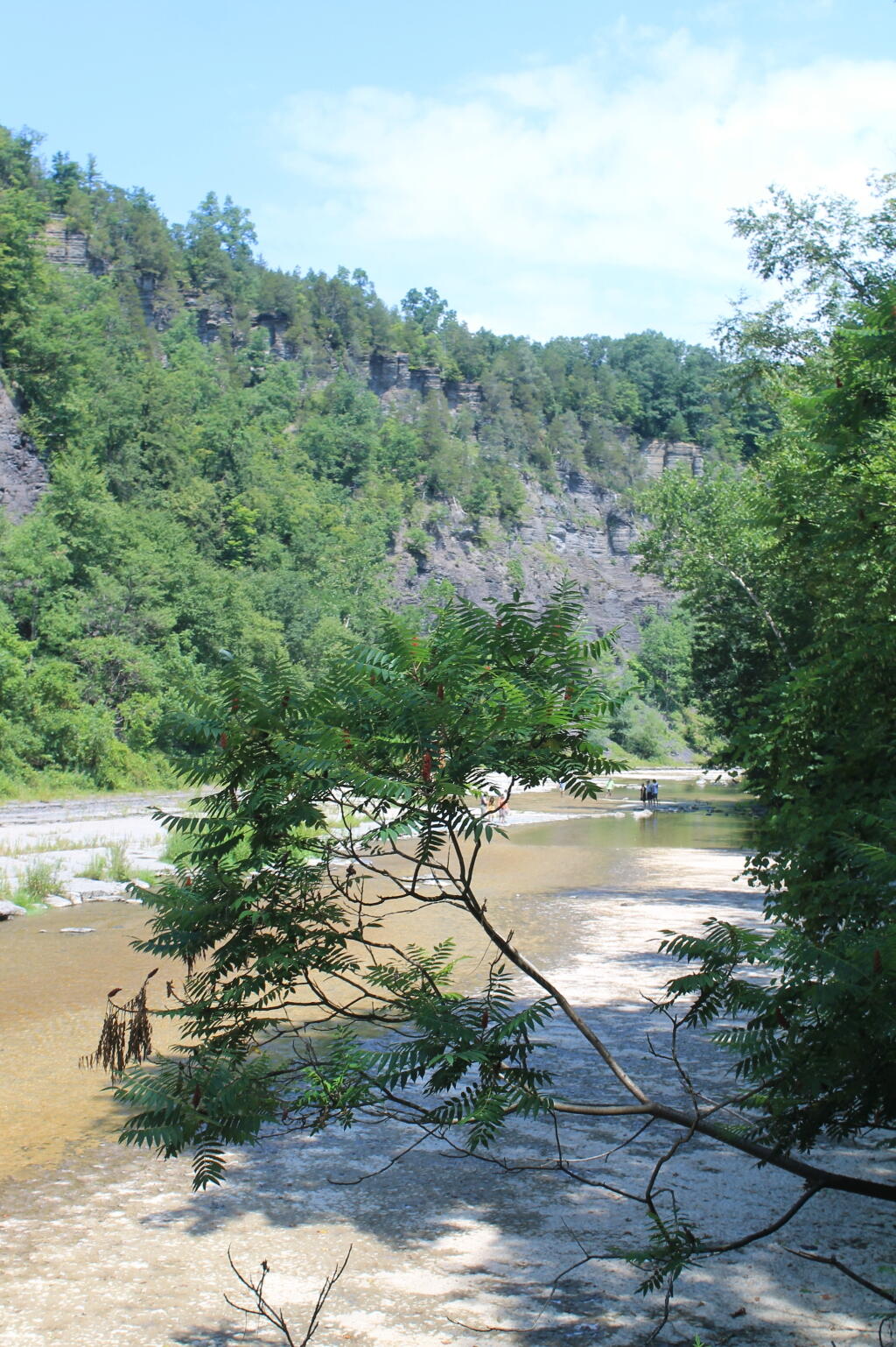 Photo: Gorge High Above