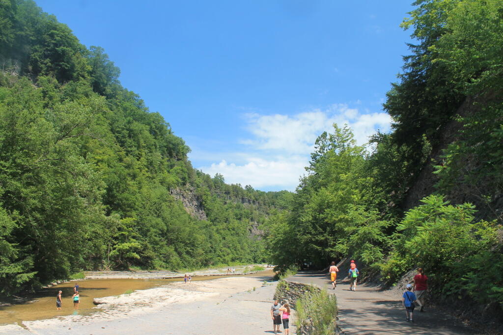 Photo: Swimming in the River Photo: Swimming in the River