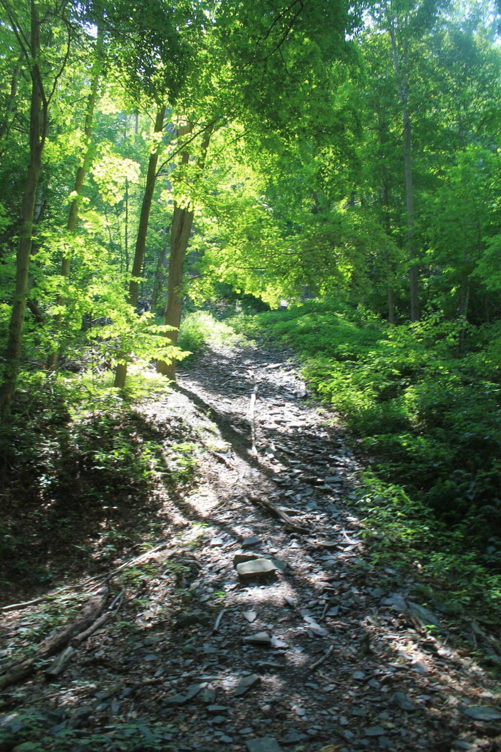 Photo: Rock Slide