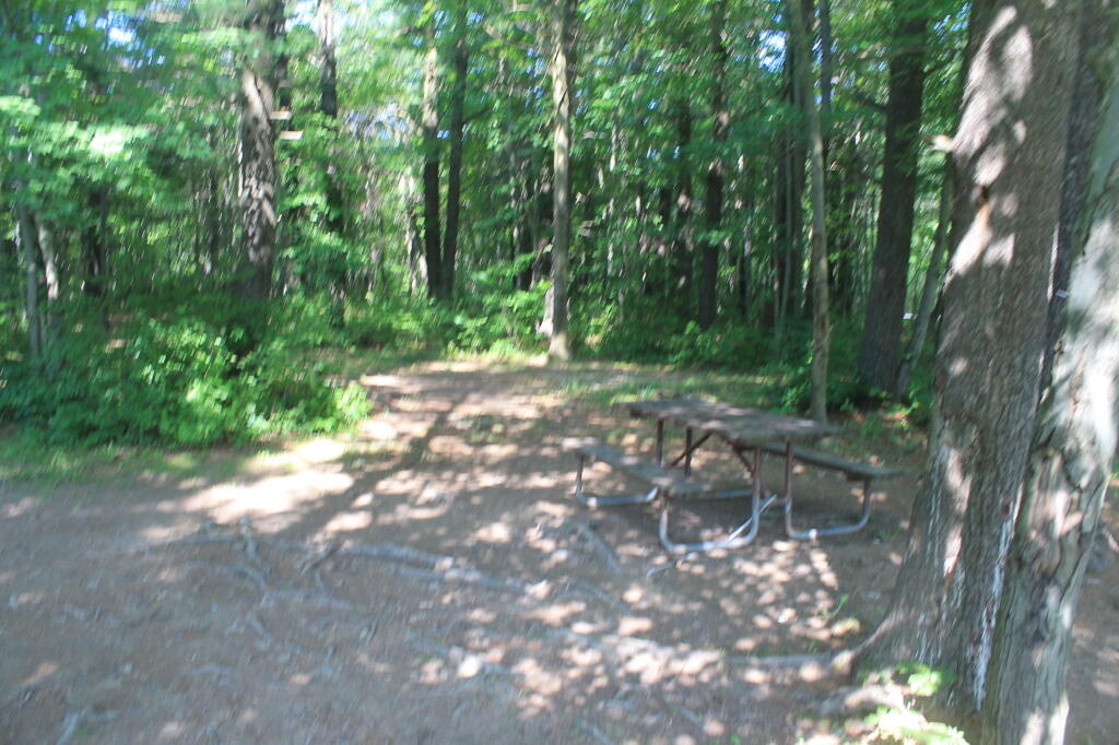 Photo: Picnic Table at Campsite Near Blueberry Campground