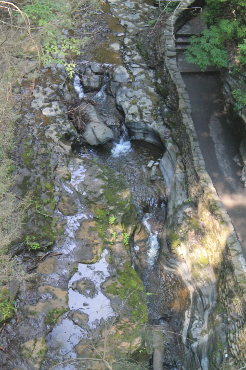 Photo: Gorge from the Suspension Bridge Photo: Gorge from the Suspension Bridge