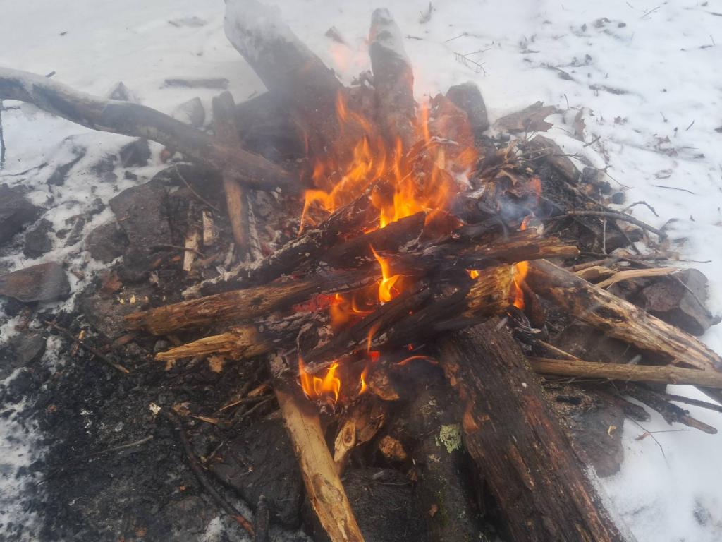 Photo: Campfire During Winter Camping