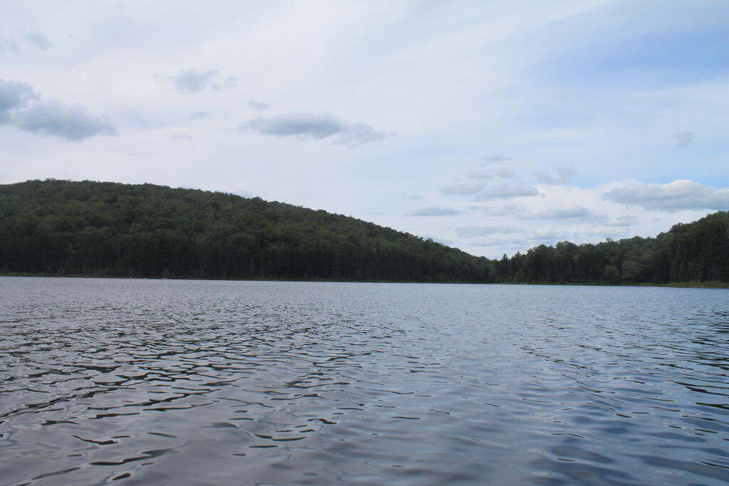 Photo: G Lake