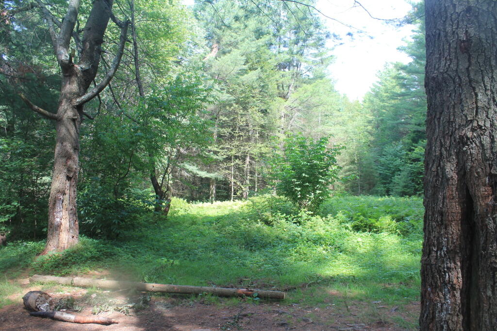 Photo: Site of Former G Lake Camp