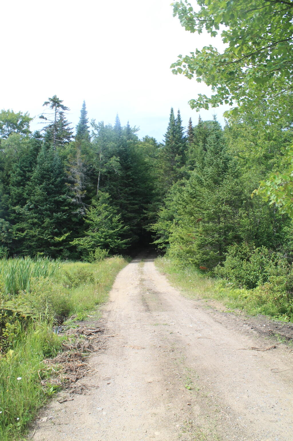Photo: G Lake Road