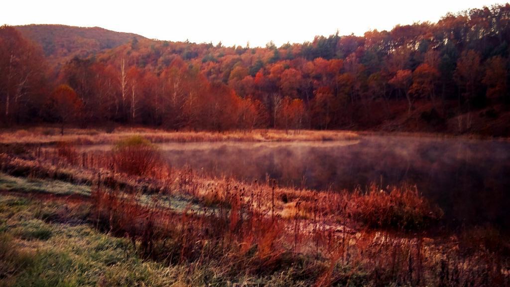 Photo: Frosty Morning at Camp Run Lake