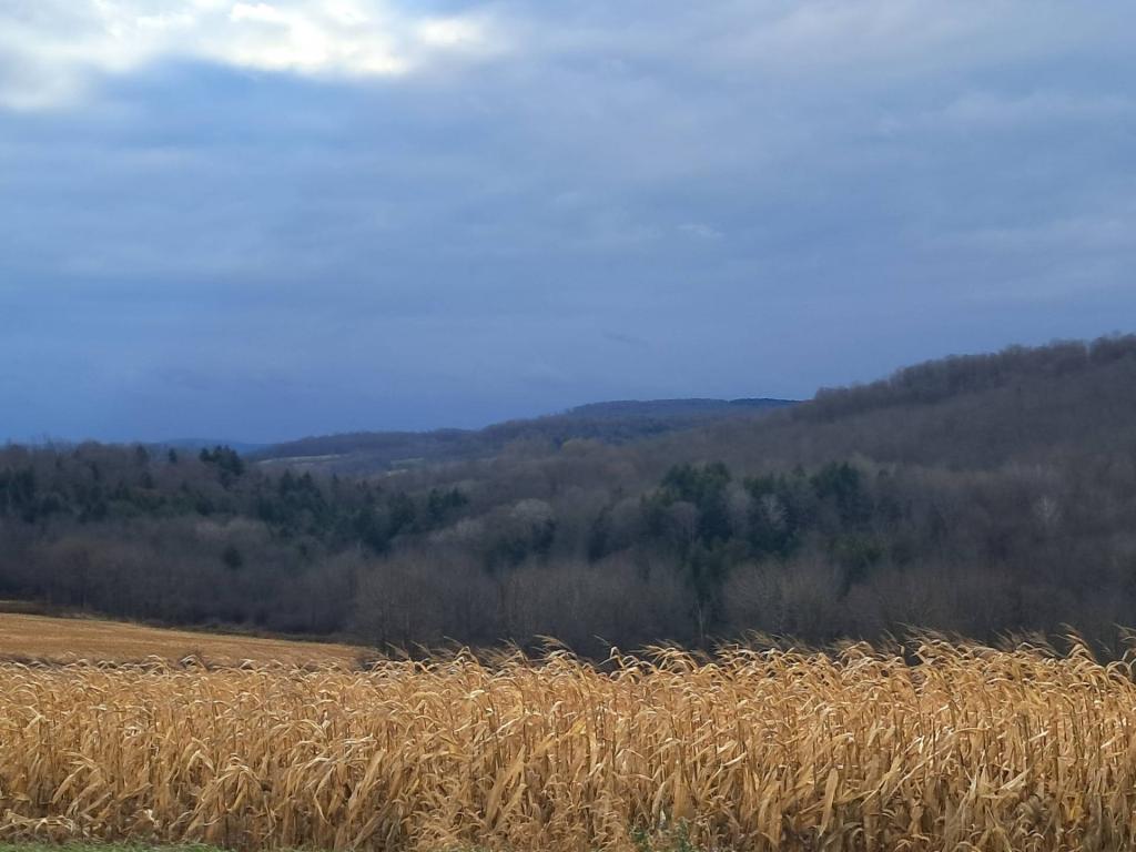 Photo: Untitled