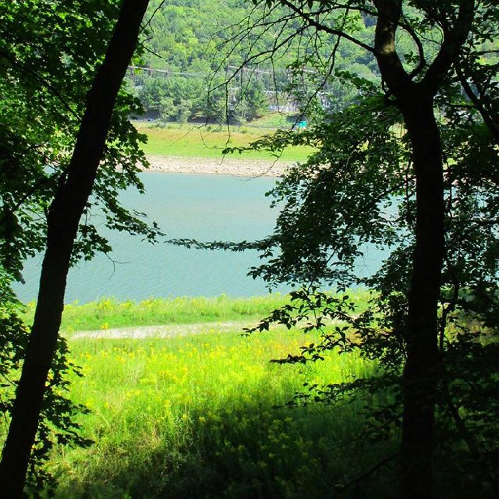 Photo: Schoharie Creek Photo: Schoharie Creek