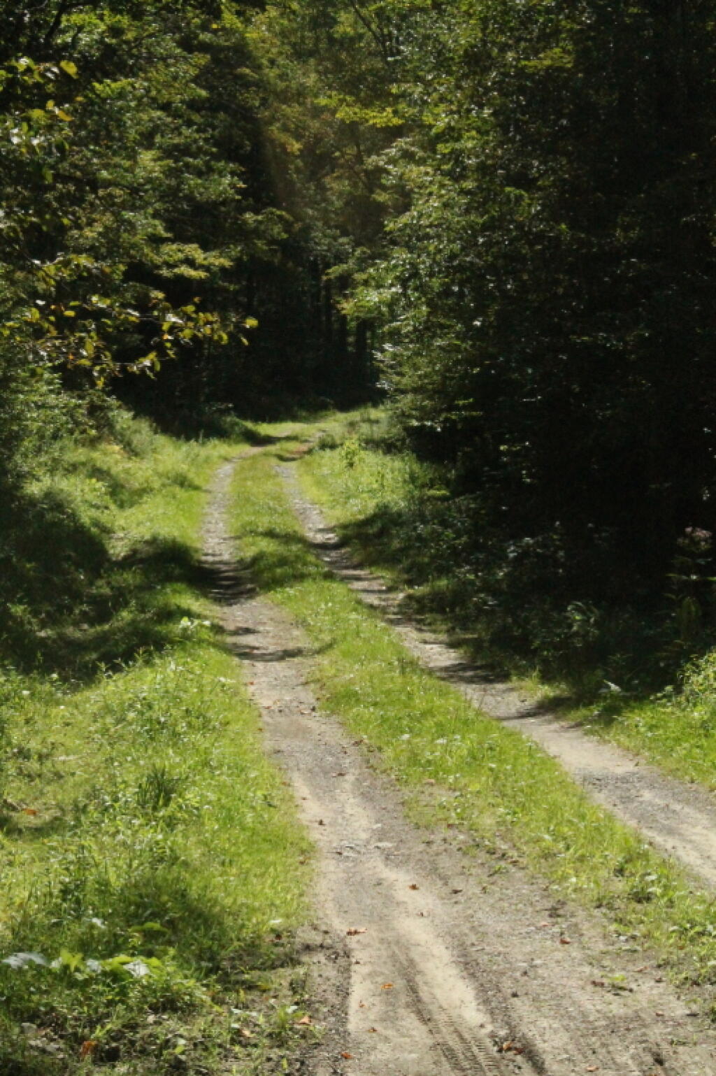 Photo: Betty Brook Road 2