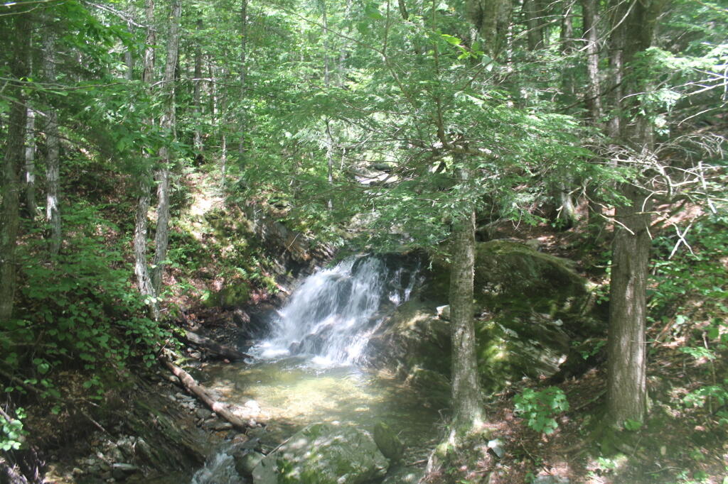 Photo: East Canada Creek