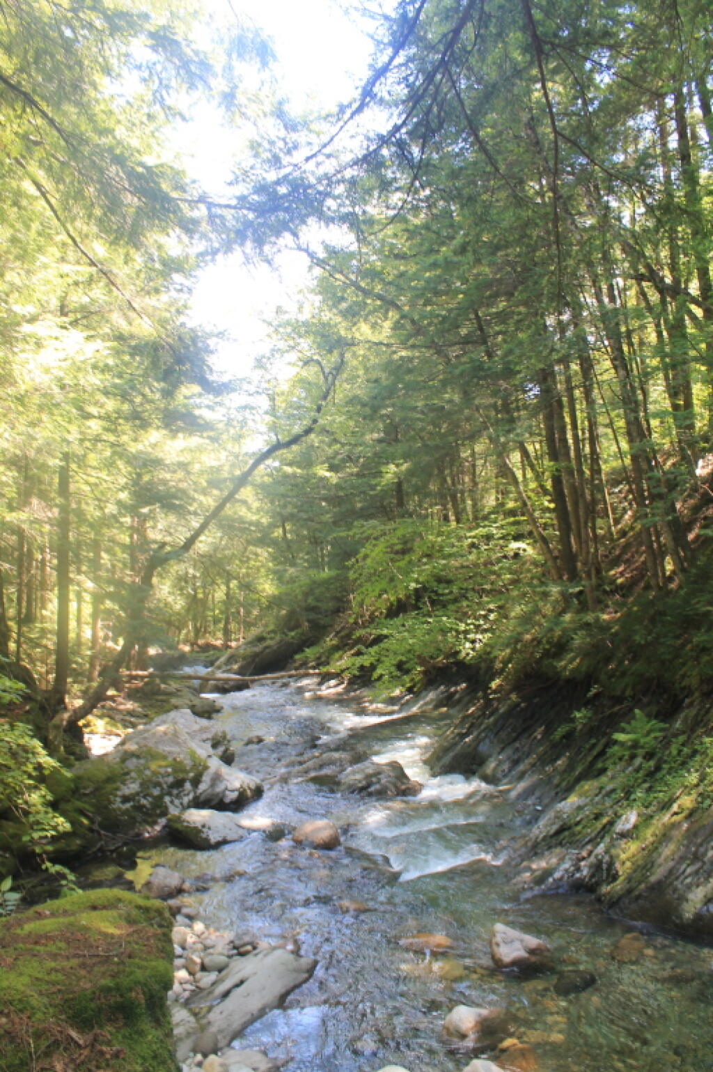 Photo: Hannock Branch of White River Photo: Hannock Branch of White River