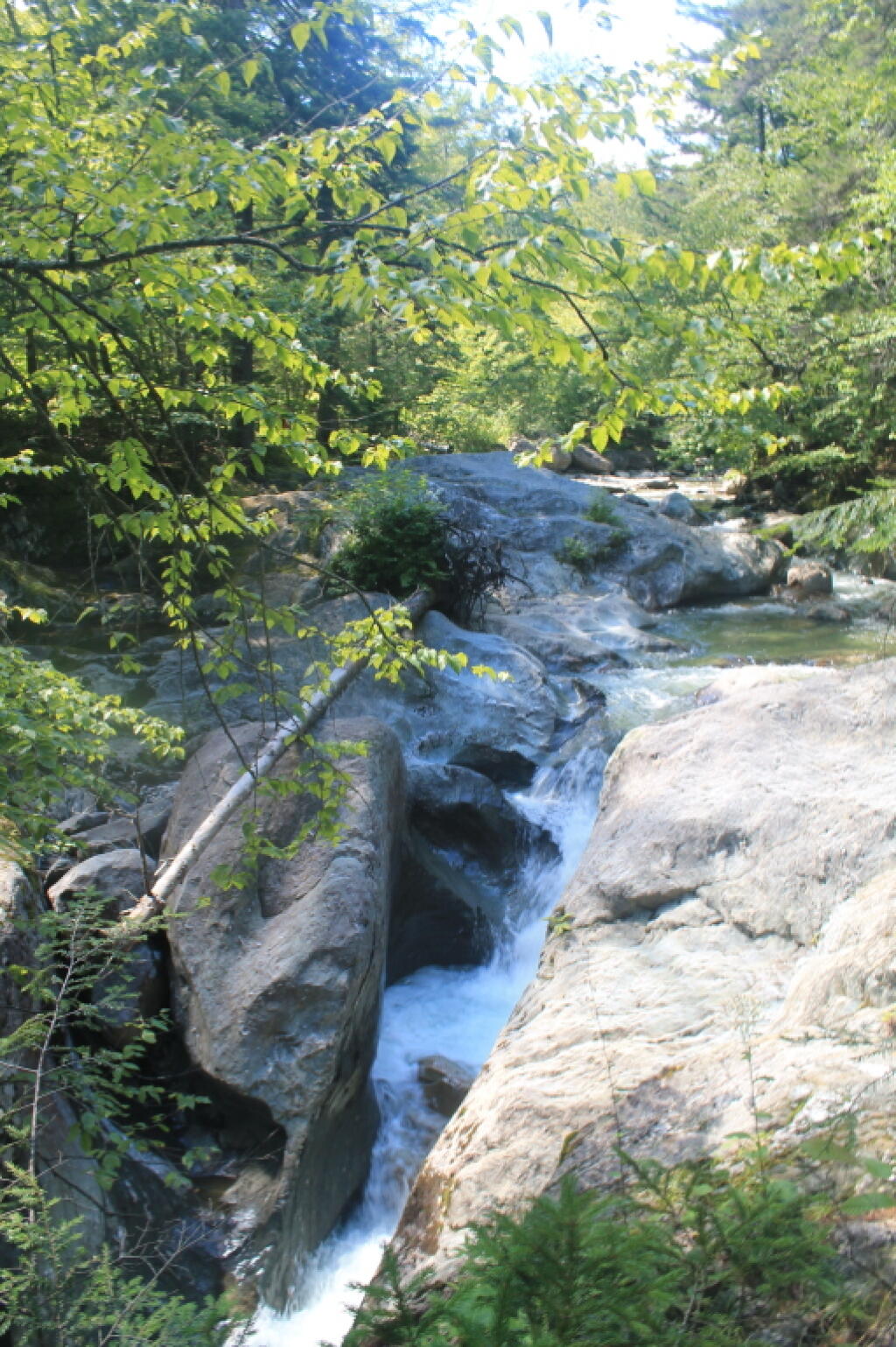 Photo: Upper Falls Photo: Upper Falls