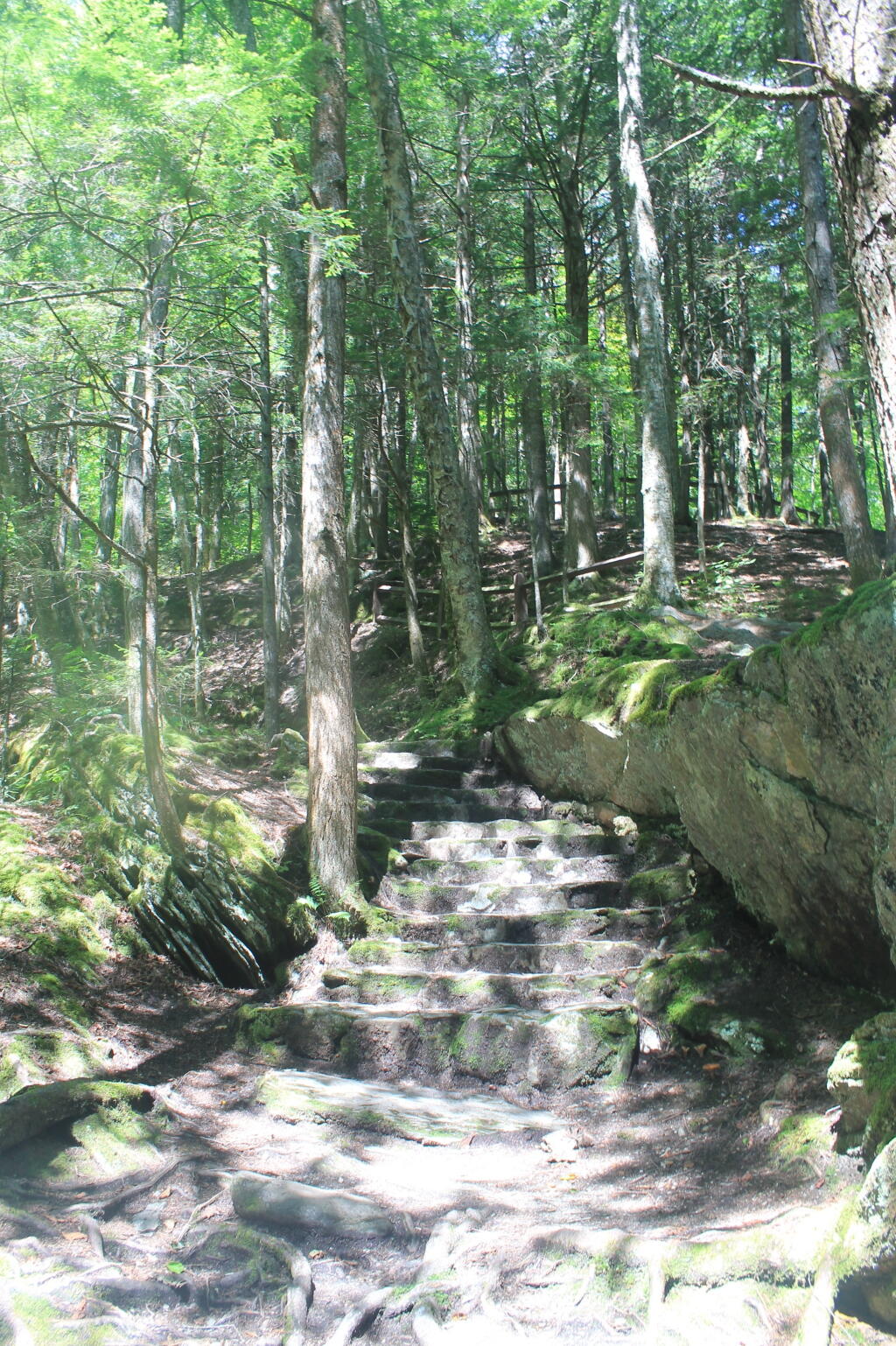 Photo: Steps Photo: Steps
