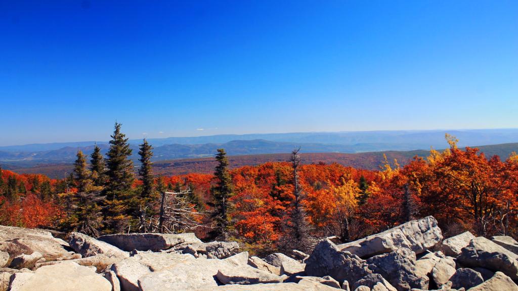 Photo: East from Bear's Rocks Photo: East from Bear's Rocks