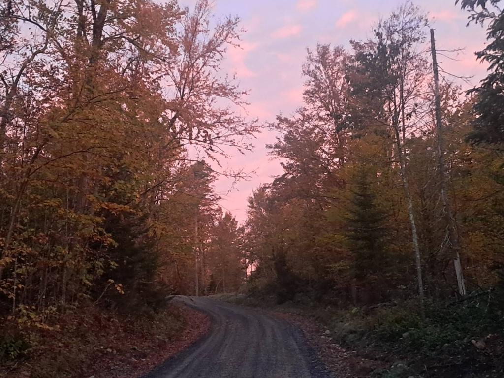 Photo: Untitled