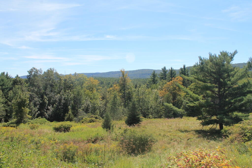 Photo: Wild Lands in Northern Catskills Photo: Wild Lands in Northern Catskills