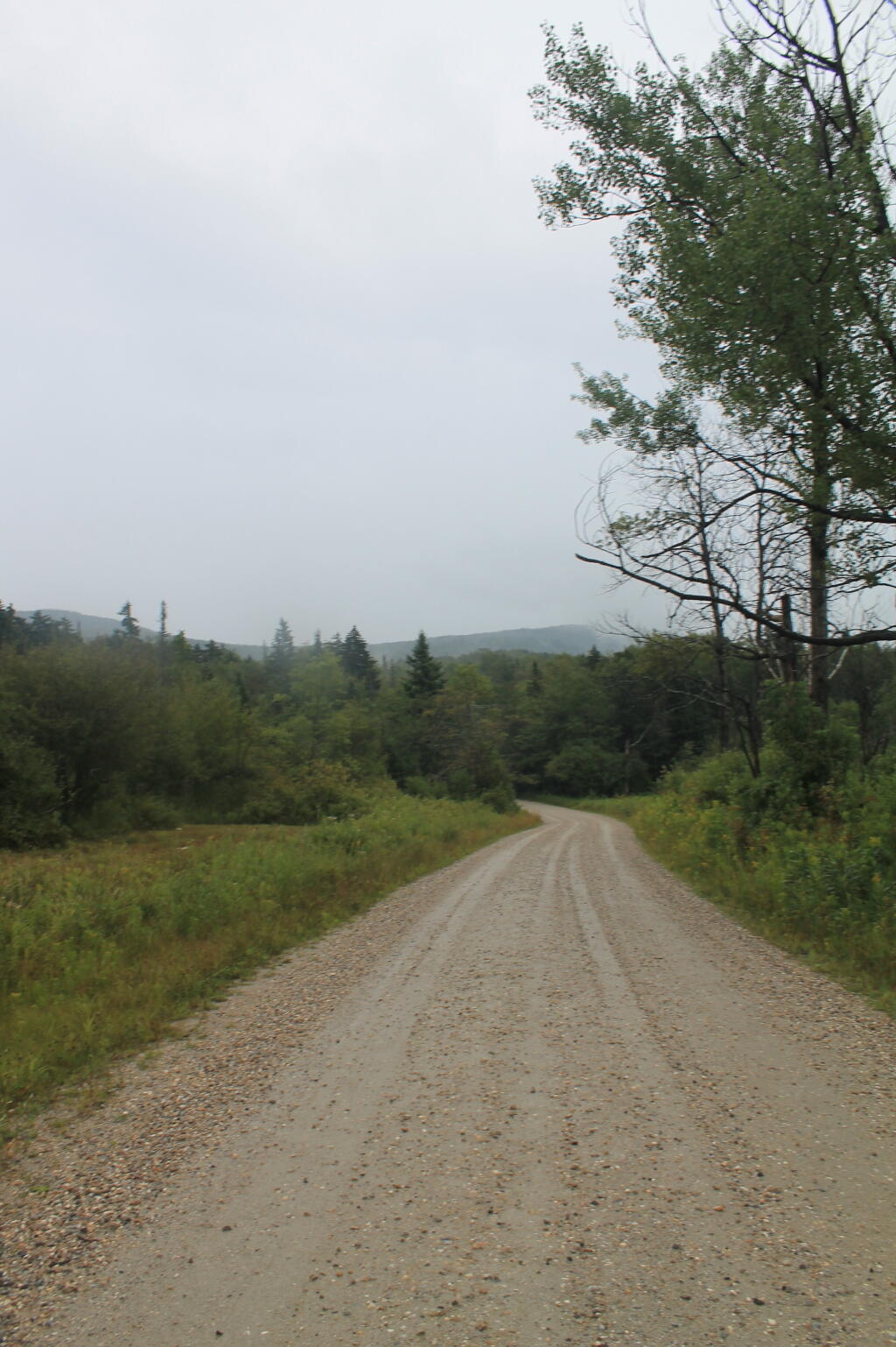 Photo: Clearing