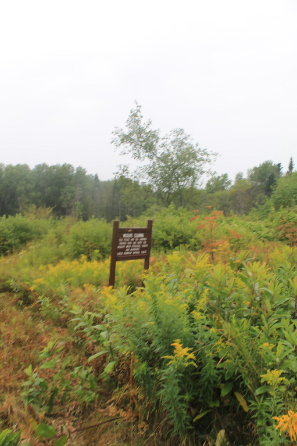 Photo: Wildlife Clearing Area