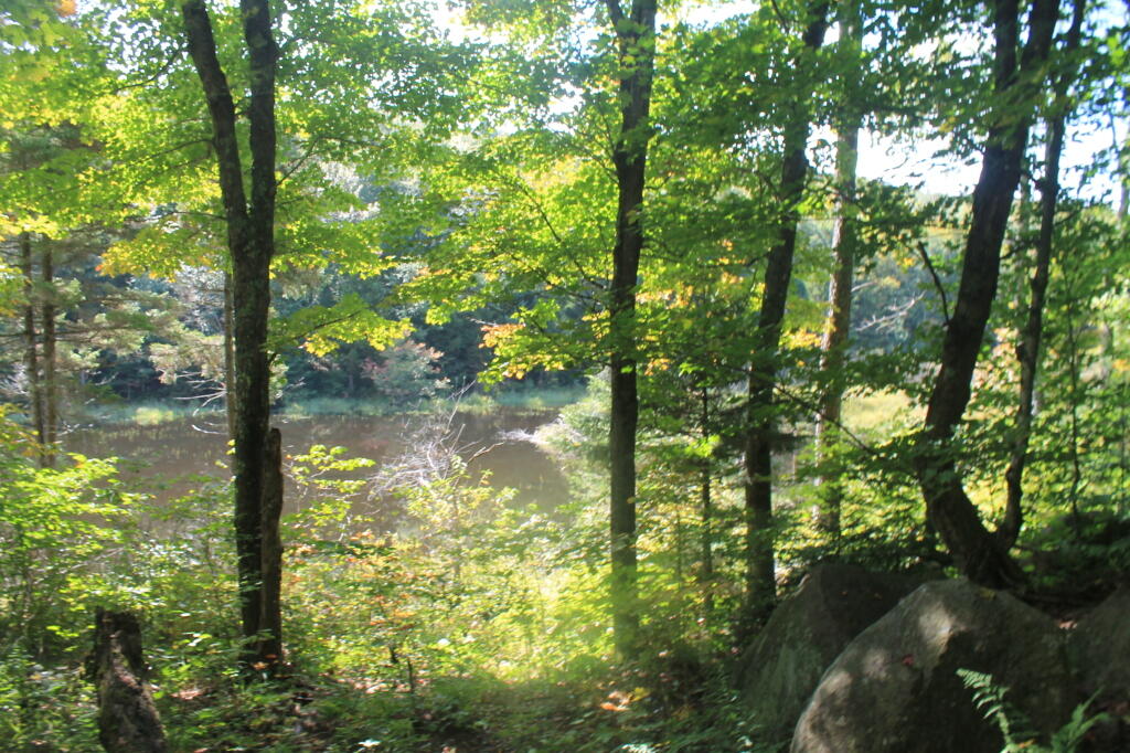 Photo: Small Pond on the Way to Mitchell Ponds Photo: Small Pond on the Way to Mitchell Ponds
