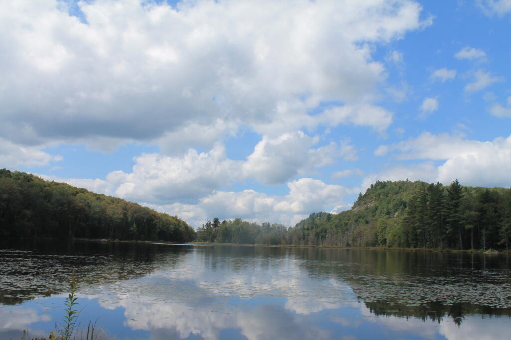 Photo: Lower Pond from the Dock Photo: Lower Pond from the Dock