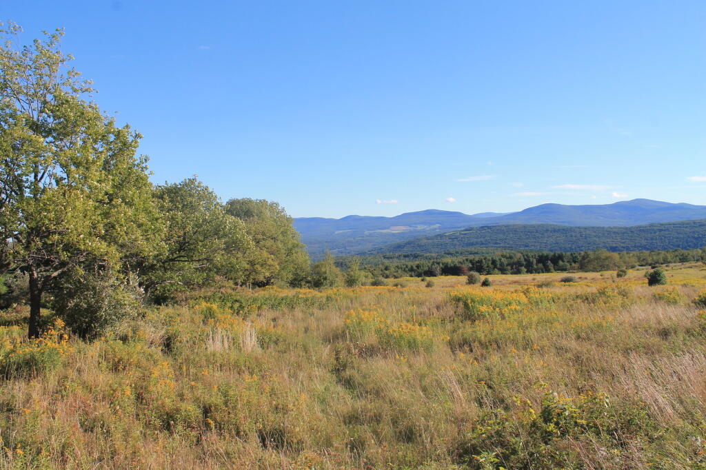 Photo: Catskills from Cheese Hill