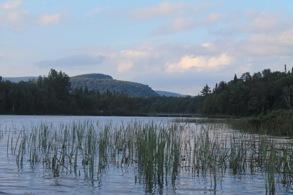 Photo: Sugar Loaf Mountain in the Distance