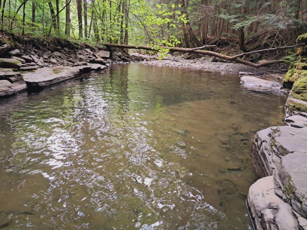 Photo: Pools Along the Switz KIll