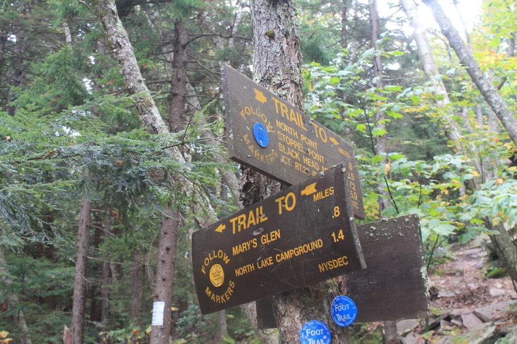 Photo: Trail to Mary's Glen