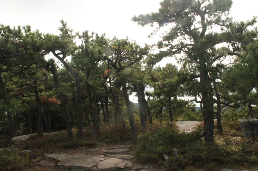 Photo: Opening Area