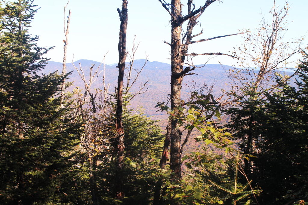 Photo: View Descending Wakely