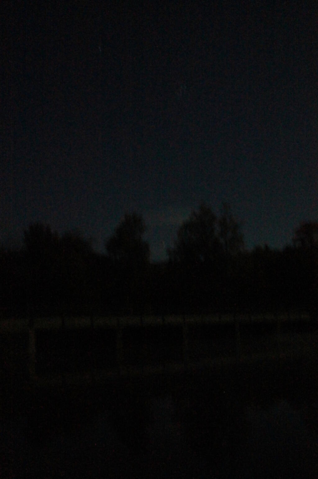 Photo: Nighttime