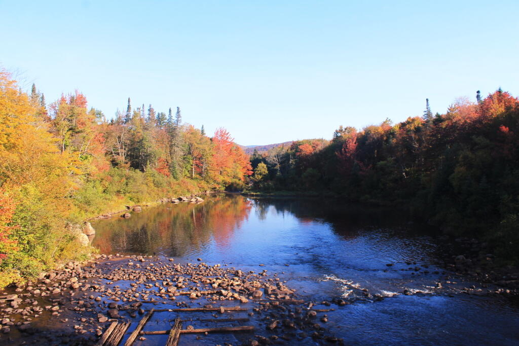 Photo: The Cedar River