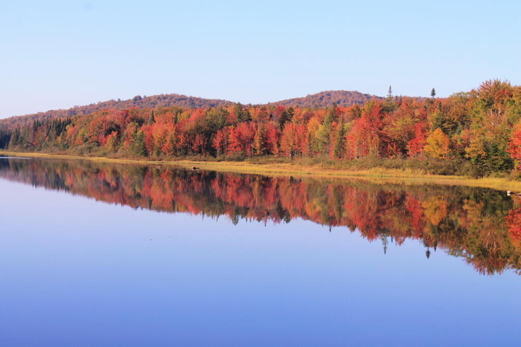 Photo: A Fall Reflection Seen from Wakely Dam