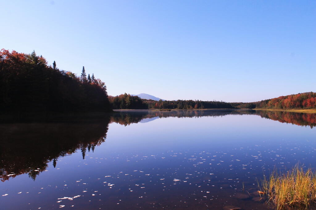 Photo: Cedar River Flow