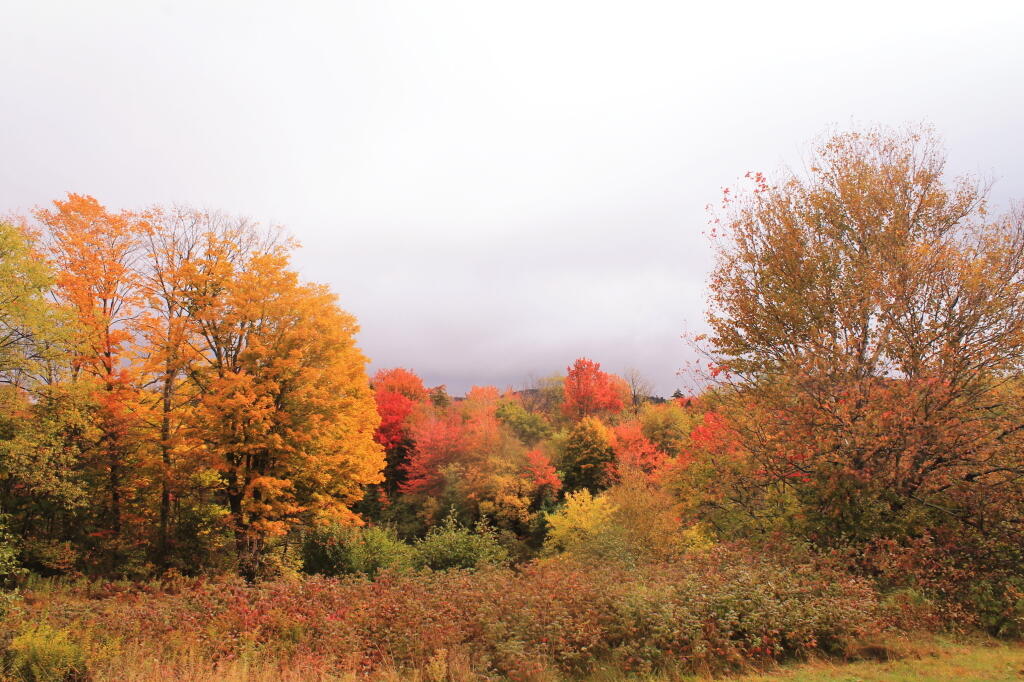 Photo: Near Cedar River Headquarter